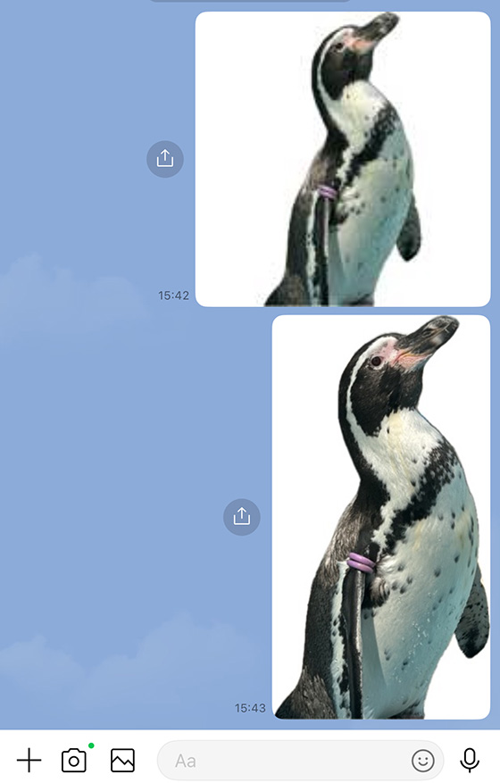 LINEで送信したiPhoneのステッカーと背景透過画像