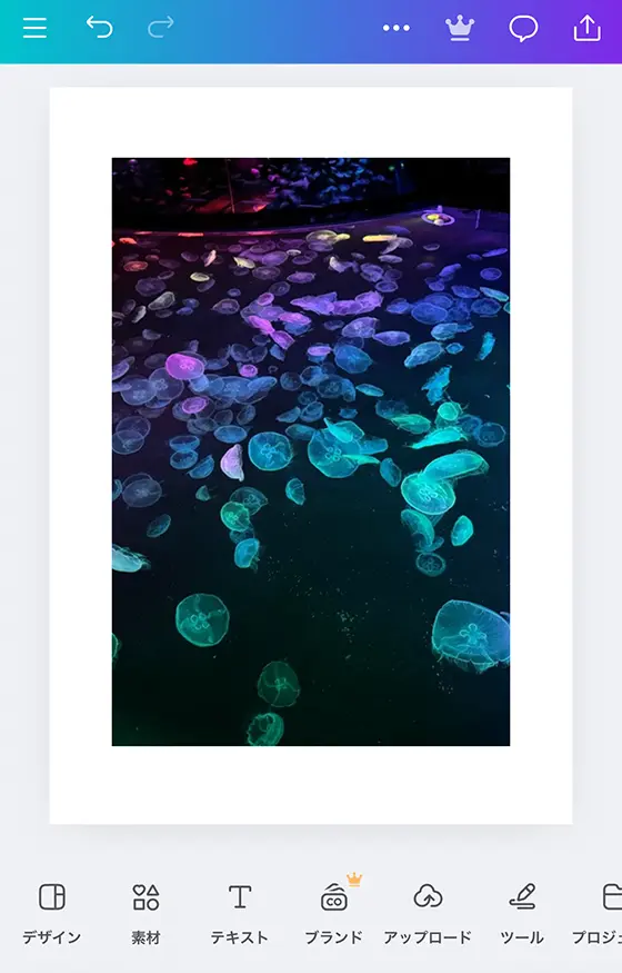 Canvaではがきサイズの写真を作成