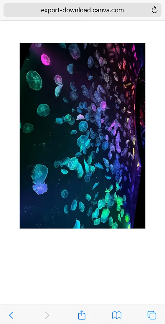 Canvaで作成した画像を表示