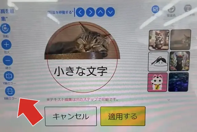 POLUV カラーネームステッカー(POLAPOLAR ネームステッカー)