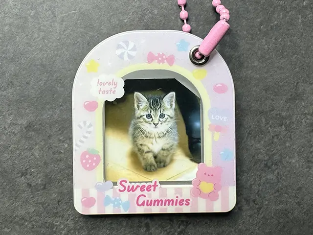 セブンの分割プリントを入れたフォトキーホルダー（スイーツ）